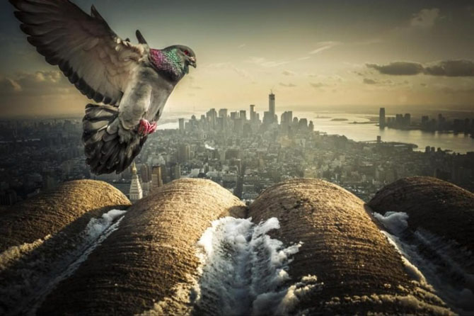 Города, которые нужно увидеть хотя бы раз в жизни