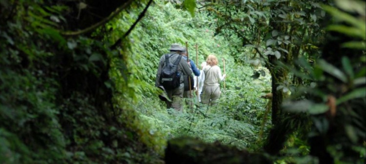 25 мест на карте для настоящего экстремального туризма