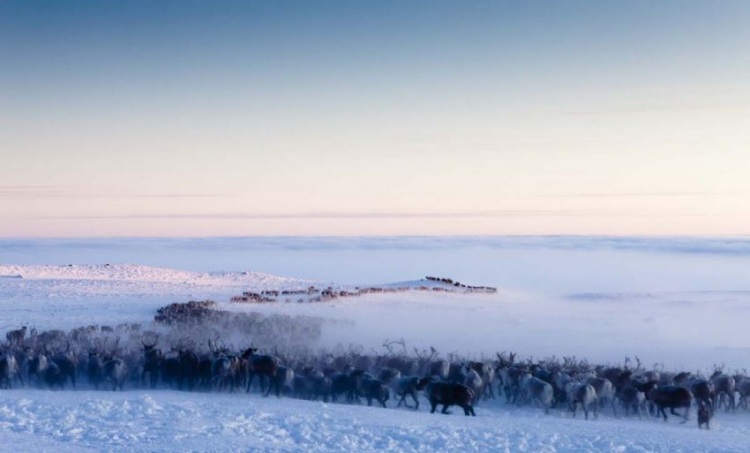 25 мест на карте для настоящего экстремального туризма