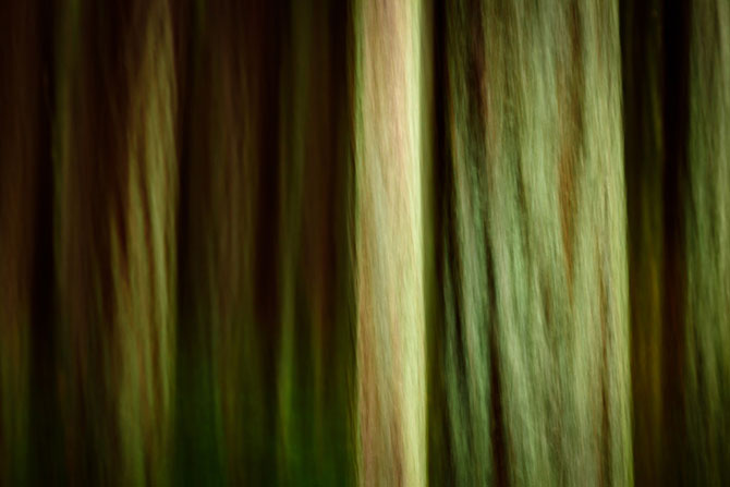 Абстрактные узоры, созданные самой природой