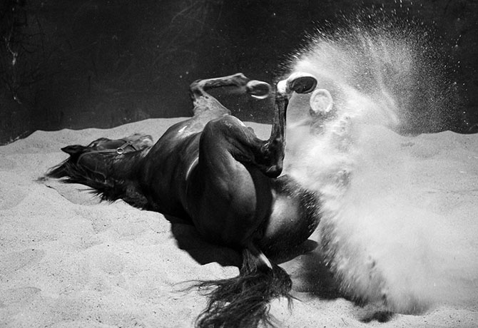 Мир в движении