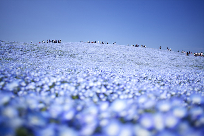 10 удивительно красочных мест планеты