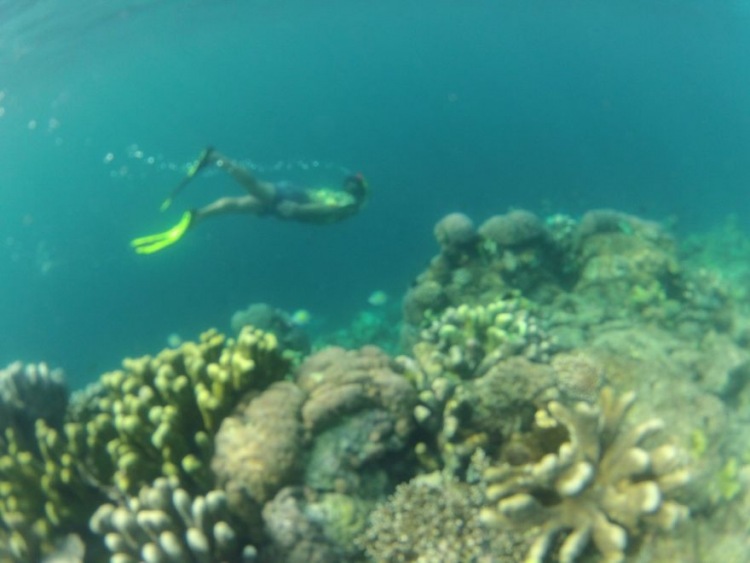 Раджа Ампат - рай в Западном Папуа