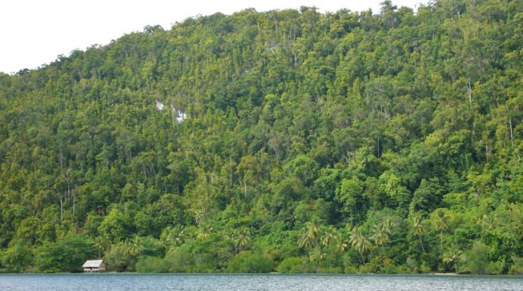 Раджа Ампат - рай в Западном Папуа