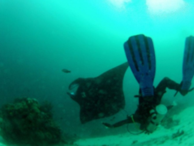 Раджа Ампат - рай в Западном Папуа