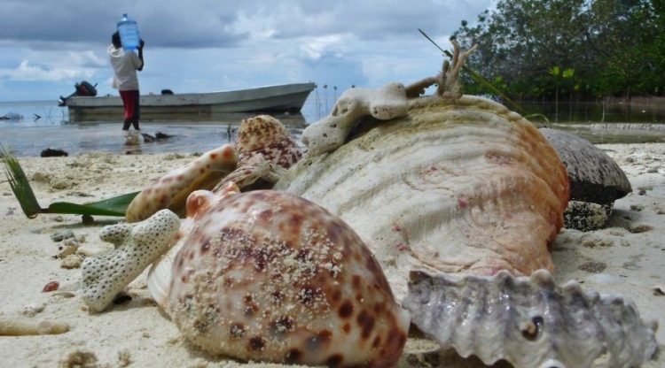 Раджа Ампат - рай в Западном Папуа