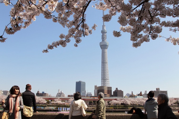 Сооружения-рекордсмены