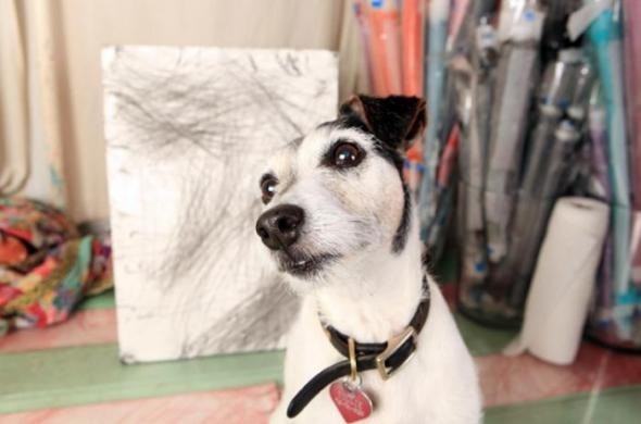 Пикассо из мира животных