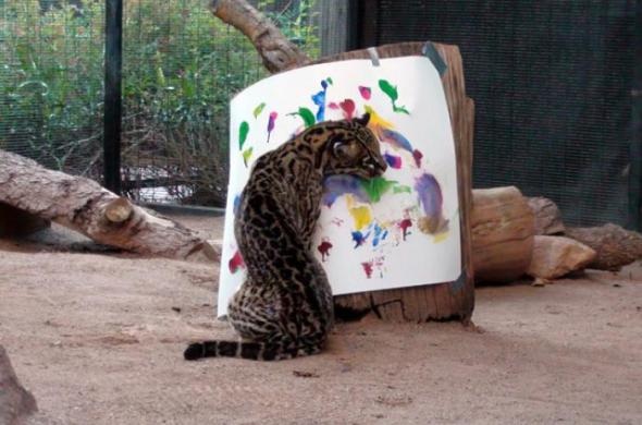 Пикассо из мира животных