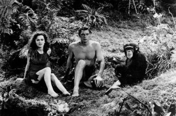 Пикассо из мира животных