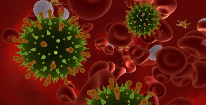 Новые изобретения, подсказанные природой