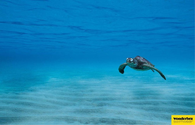 Удивительный бюстгальтер Wonderbra