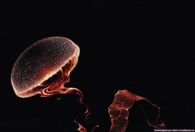 Необычные рисунки – лезвием по фотобумаге