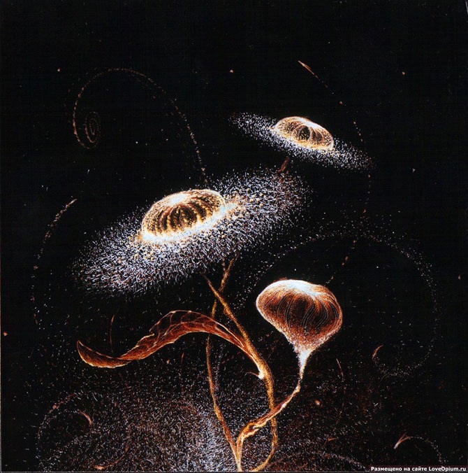 Необычные рисунки – лезвием по фотобумаге