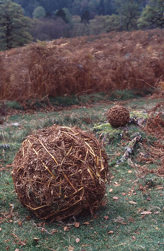 Великий природный художник Энди Голдсуорти