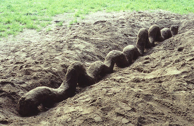 Великий природный художник Энди Голдсуорти