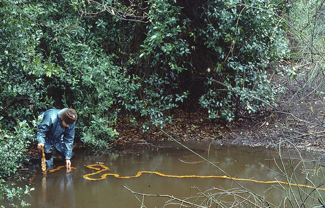 Великий природный художник Энди Голдсуорти