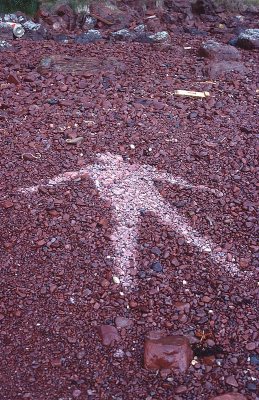 Великий природный художник Энди Голдсуорти