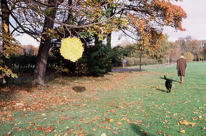 Великий природный художник Энди Голдсуорти