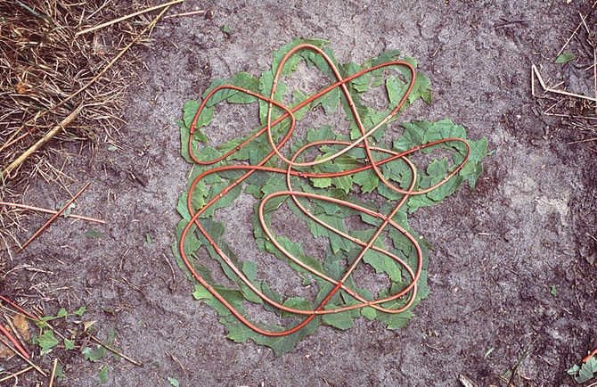 Великий природный художник Энди Голдсуорти
