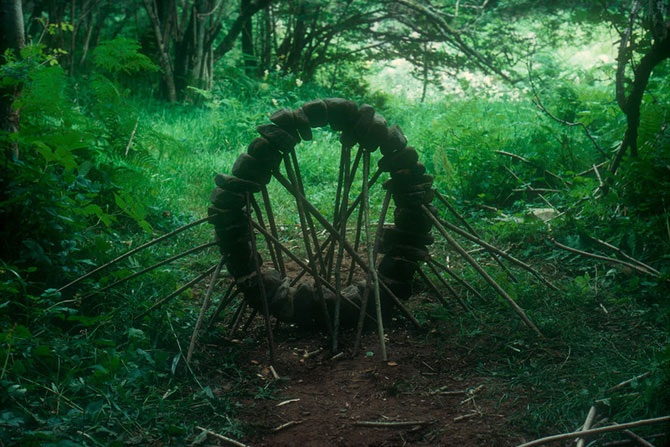 Великий природный художник Энди Голдсуорти