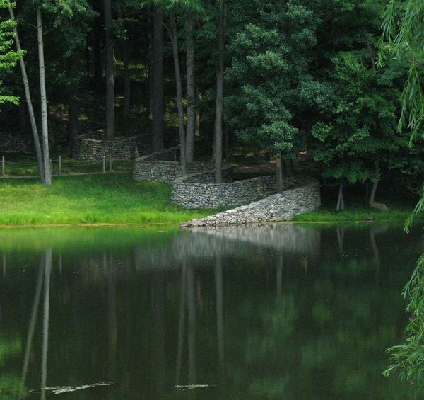 Великий природный художник Энди Голдсуорти