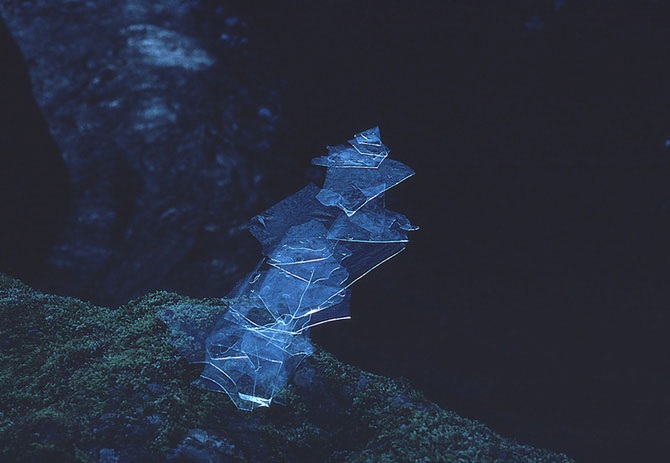 Великий природный художник Энди Голдсуорти