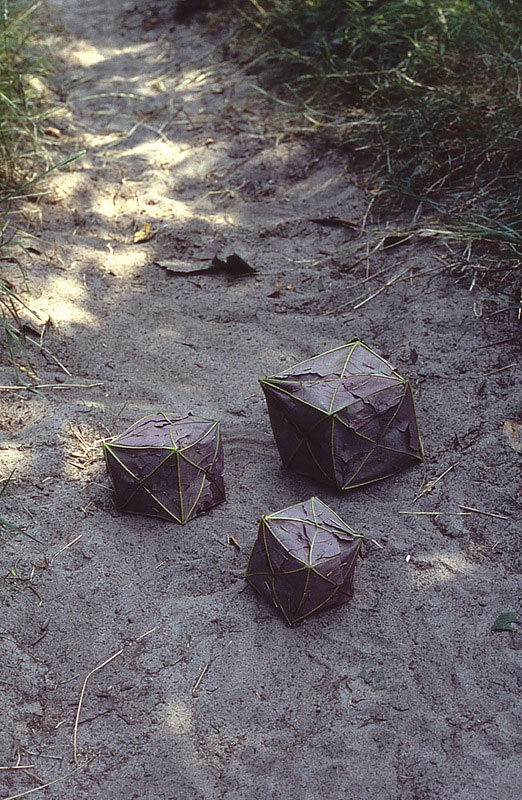 Великий природный художник Энди Голдсуорти