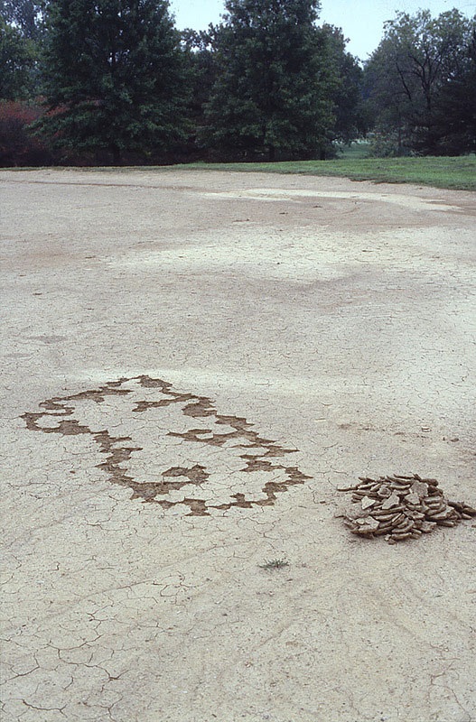 Великий природный художник Энди Голдсуорти