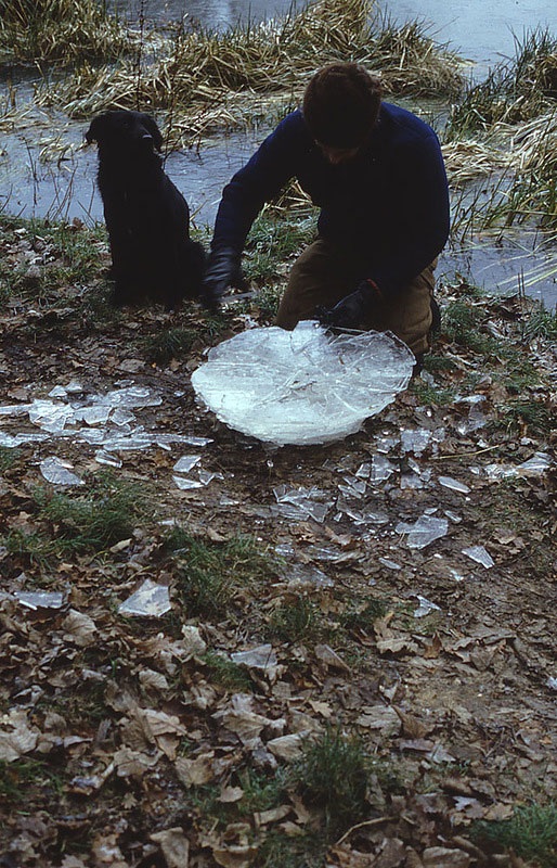 Великий природный художник Энди Голдсуорти