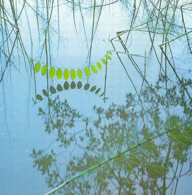 Великий природный художник Энди Голдсуорти