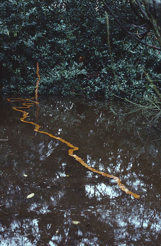 Великий природный художник Энди Голдсуорти