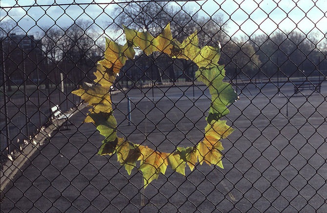 Великий природный художник Энди Голдсуорти