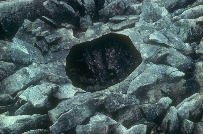 Великий природный художник Энди Голдсуорти