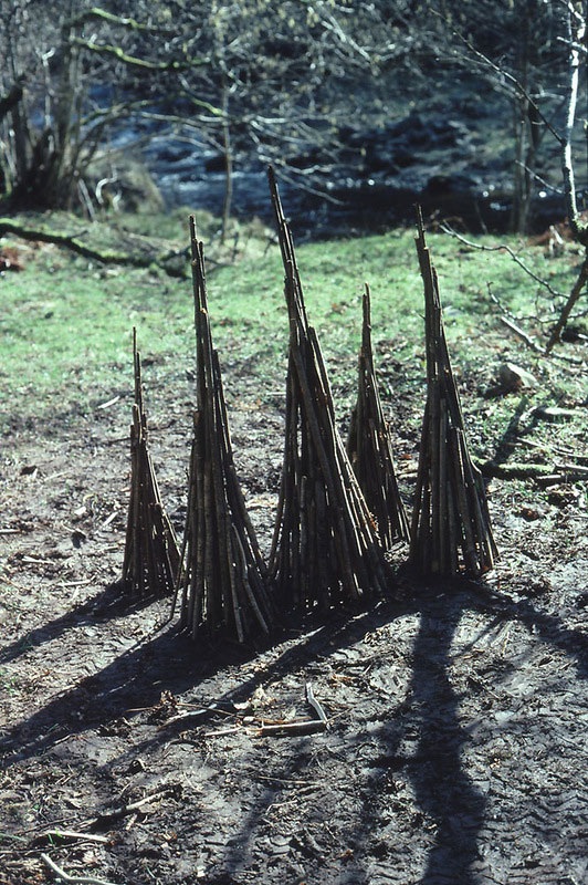 Великий природный художник Энди Голдсуорти
