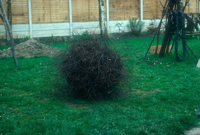 Великий природный художник Энди Голдсуорти