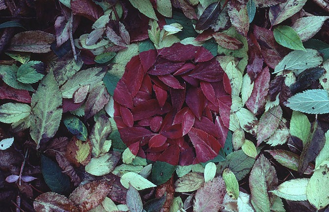 Великий природный художник Энди Голдсуорти