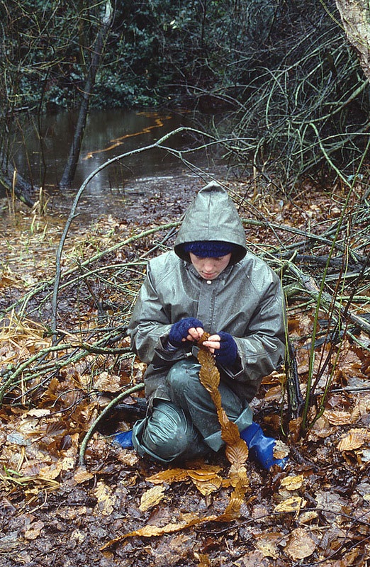 Великий природный художник Энди Голдсуорти