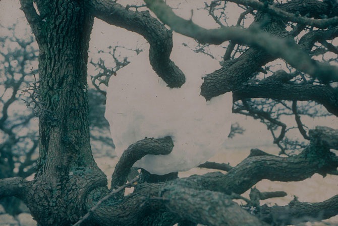 Великий природный художник Энди Голдсуорти