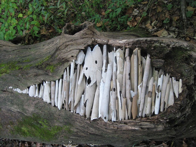 Великий природный художник Энди Голдсуорти