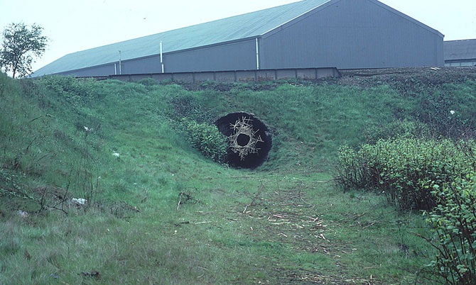 Великий природный художник Энди Голдсуорти