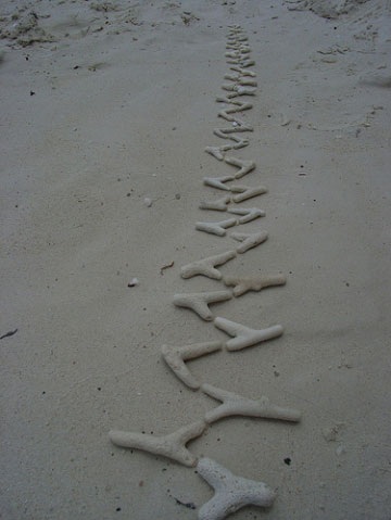 Великий природный художник Энди Голдсуорти