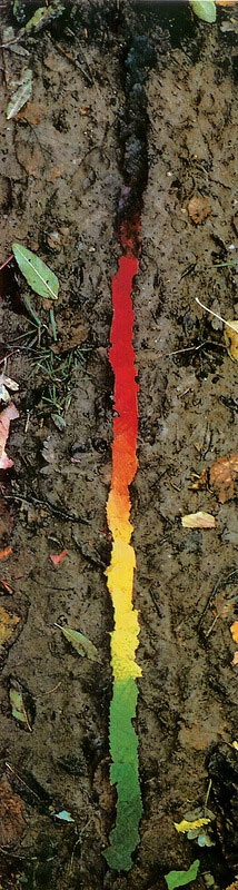 Великий природный художник Энди Голдсуорти