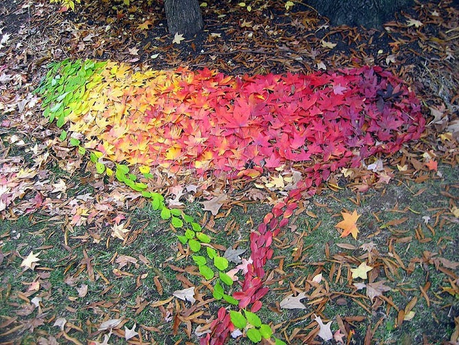 Великий природный художник Энди Голдсуорти