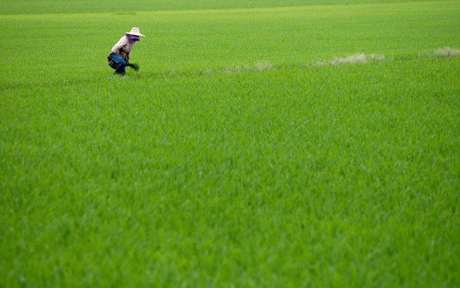 Сцены из жизни в разных странах