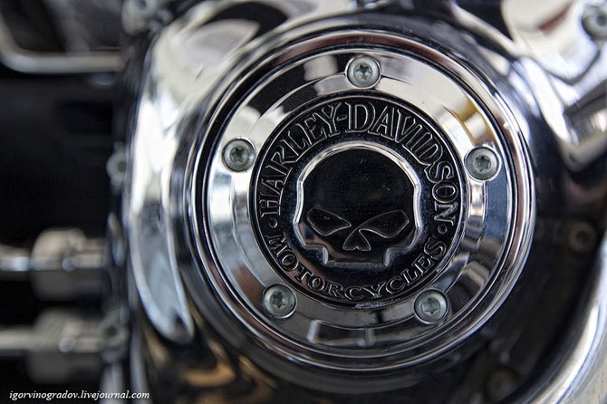 Harley-Davidson крупным планом
