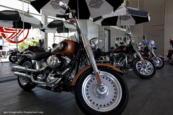 Harley-Davidson крупным планом