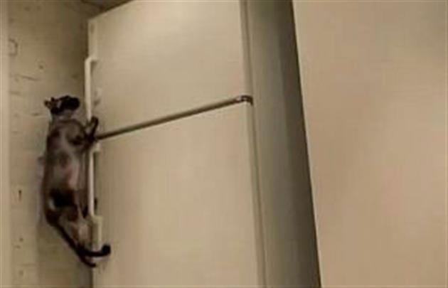 Топ весенних событий (13 фото)