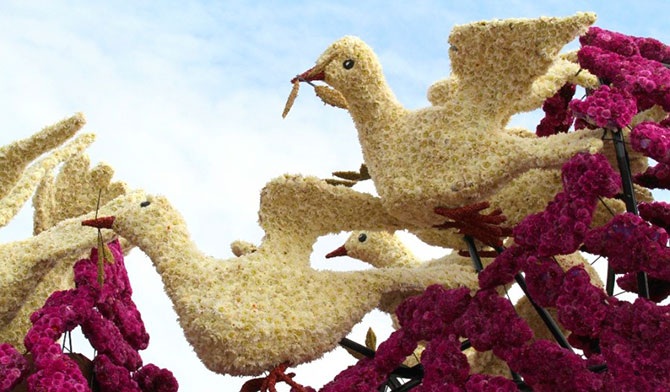 Парад цветов в Нидерландах