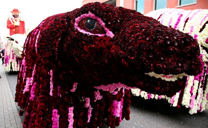 Парад цветов в Нидерландах